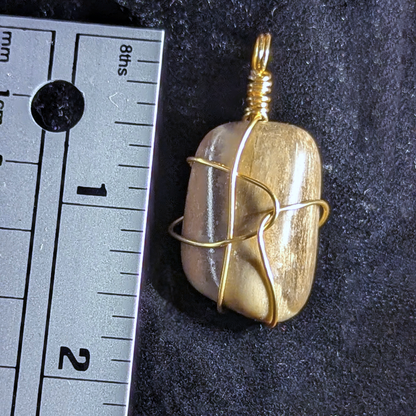 Wire-wrapped pendant with polished petrified wood