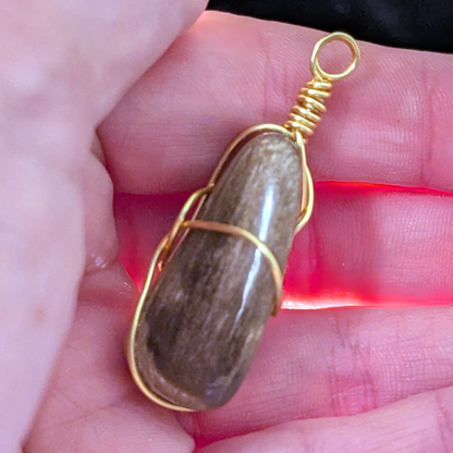 Wire-wrapped pendant with polished petrified wood