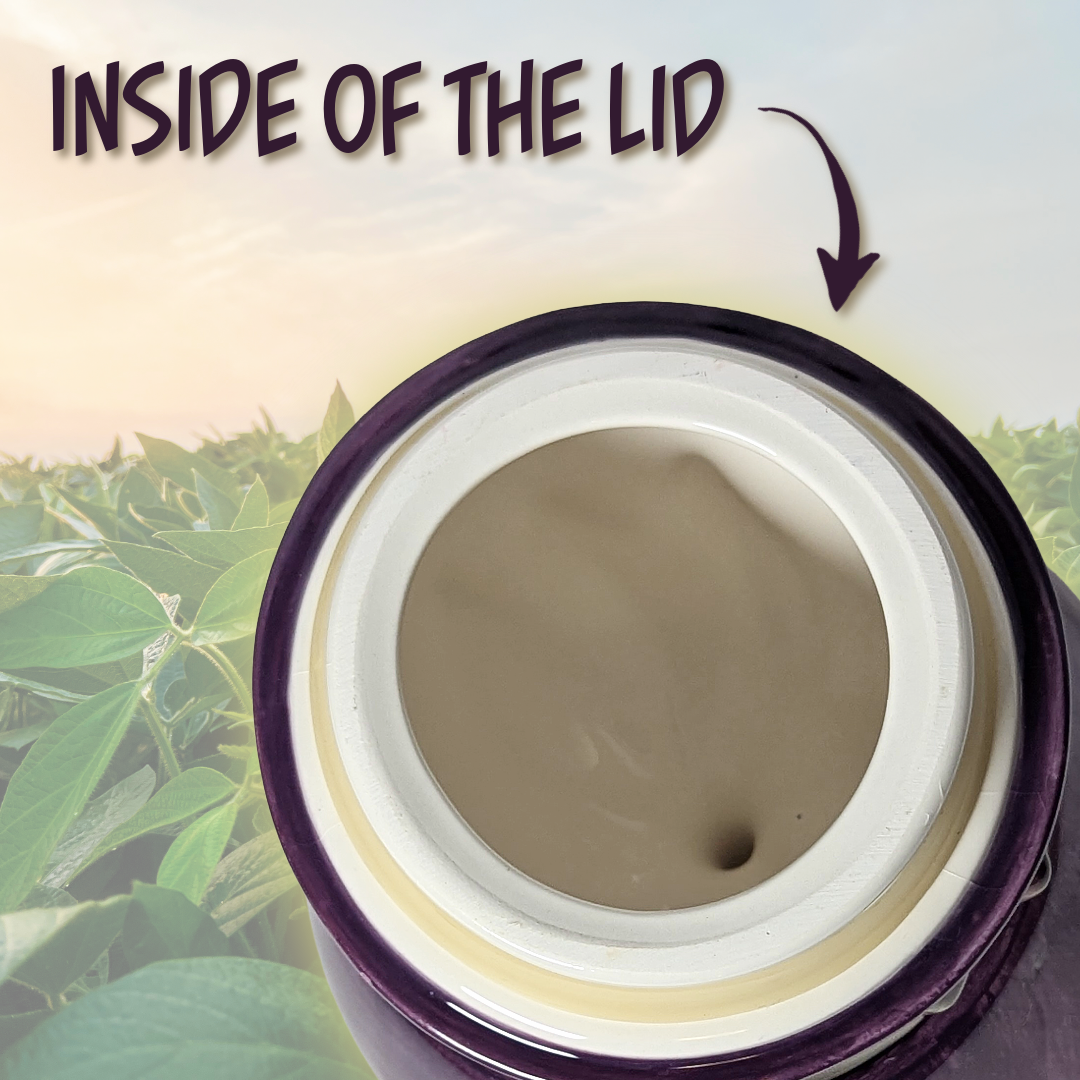 Home Interiors Ceramic Eggplant Canister (with Built-In Lid)