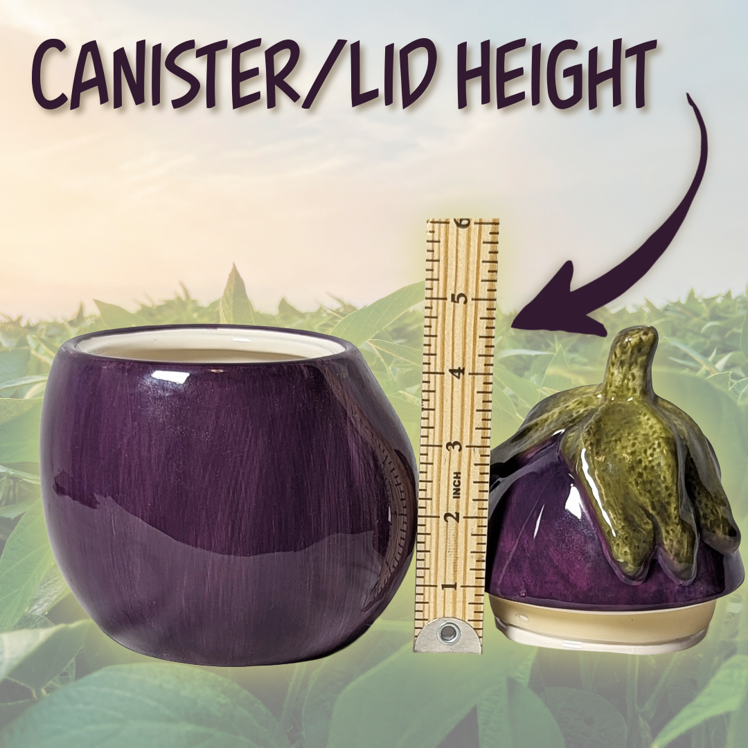Home Interiors Ceramic Eggplant Canister (with Built-In Lid)