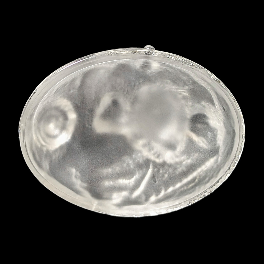 Vintage Cristal d'Arques Lead Crystal Seahorse – Made in France