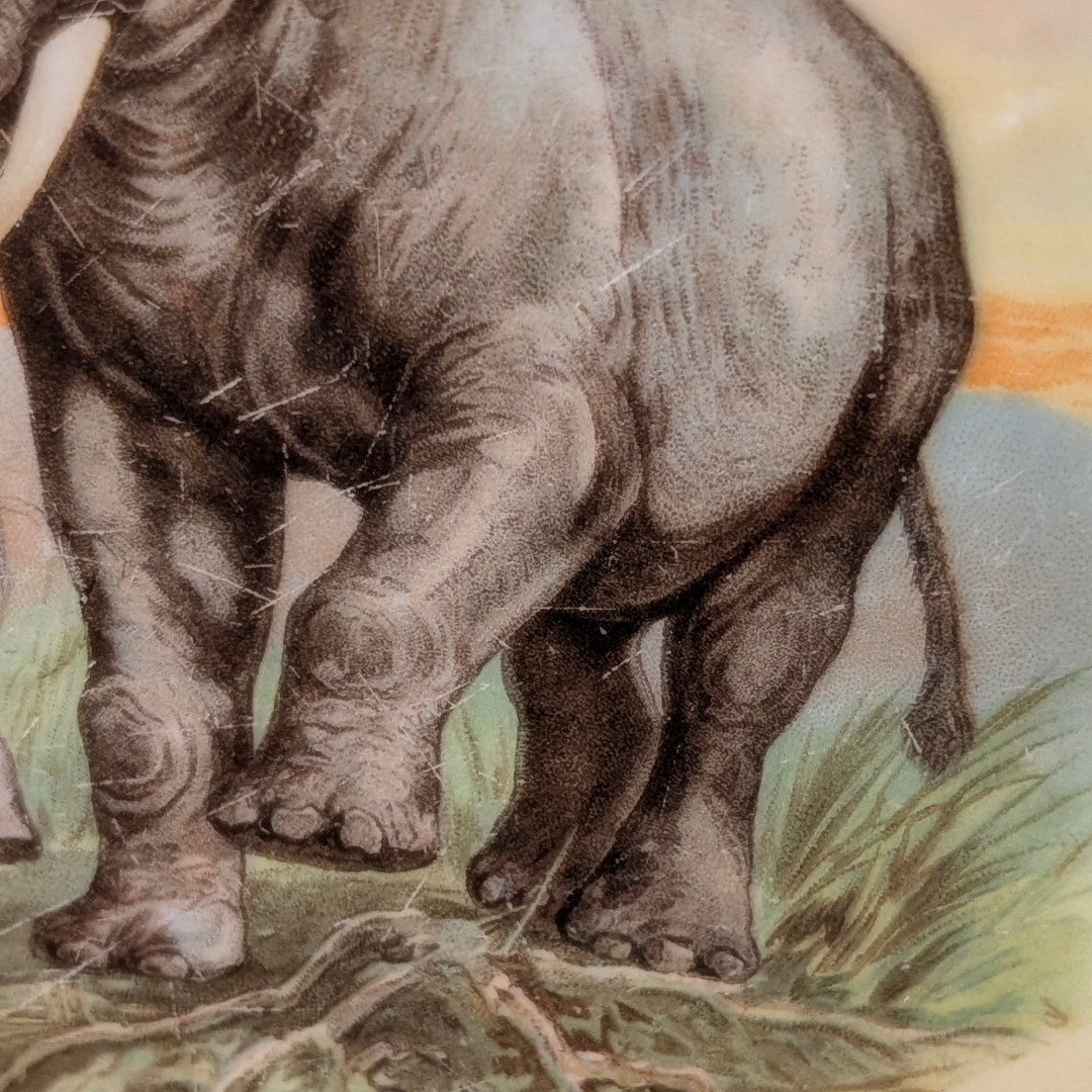 Elephant Family Lehmann & Sohn elegant early 20th century plate