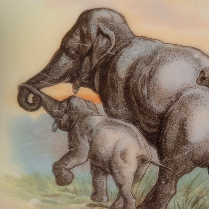Elephant Family Lehmann & Sohn elegant early 20th century plate