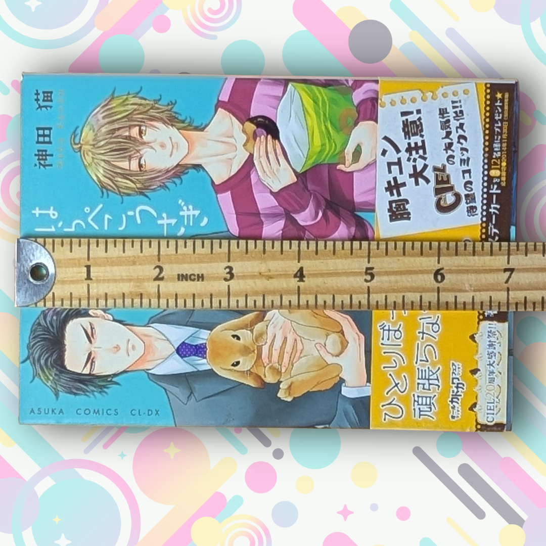 [Manga] Harapeko Usagi to Koisuru Ookami (The Hungry Rabbit and the Wolf in Love) - Japanese Edition by Neko Kanda