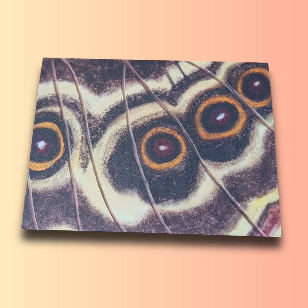 Butterfly Wing Blank Note Cards, Set of 6 or 9
