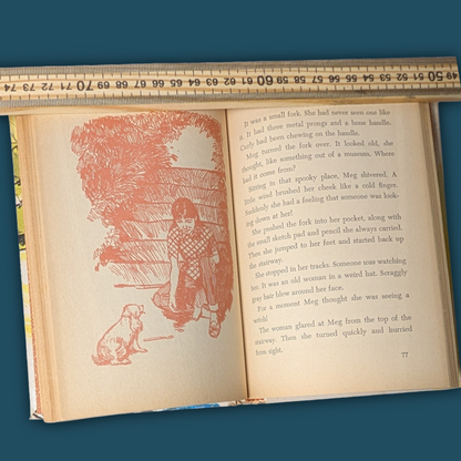 Meg: The Secret of the Witch's Stairway by Holly Beth Walker Vintage 1969 Hardcover Book