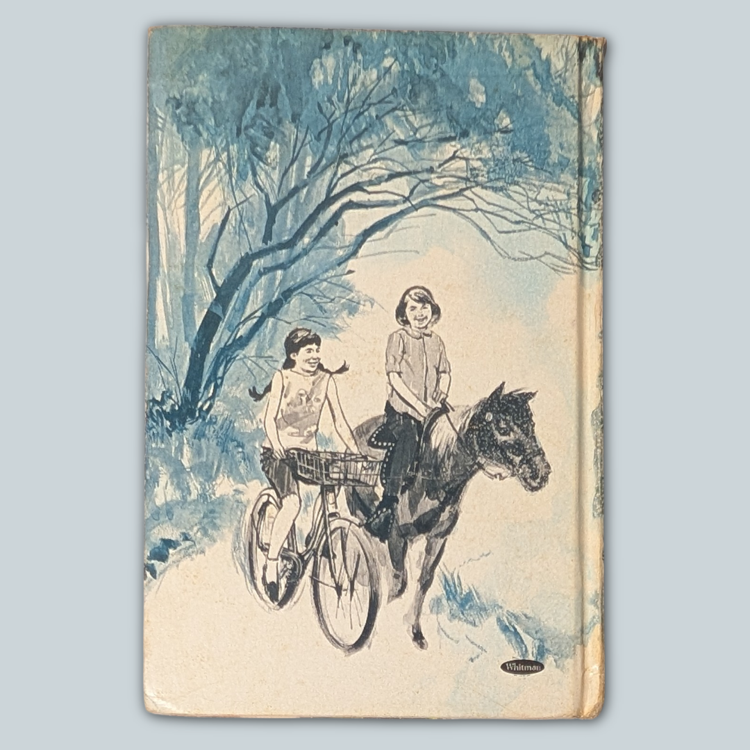 Meg and the Disappearing Diamonds Vintage Hardcover Book, 1969 ed.