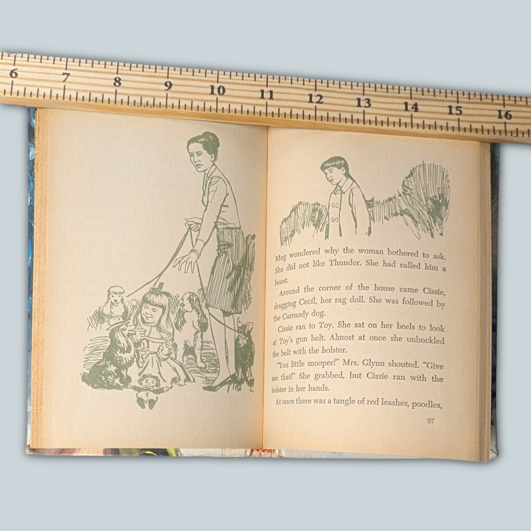 Meg and the Disappearing Diamonds Vintage Hardcover Book, 1969 ed.