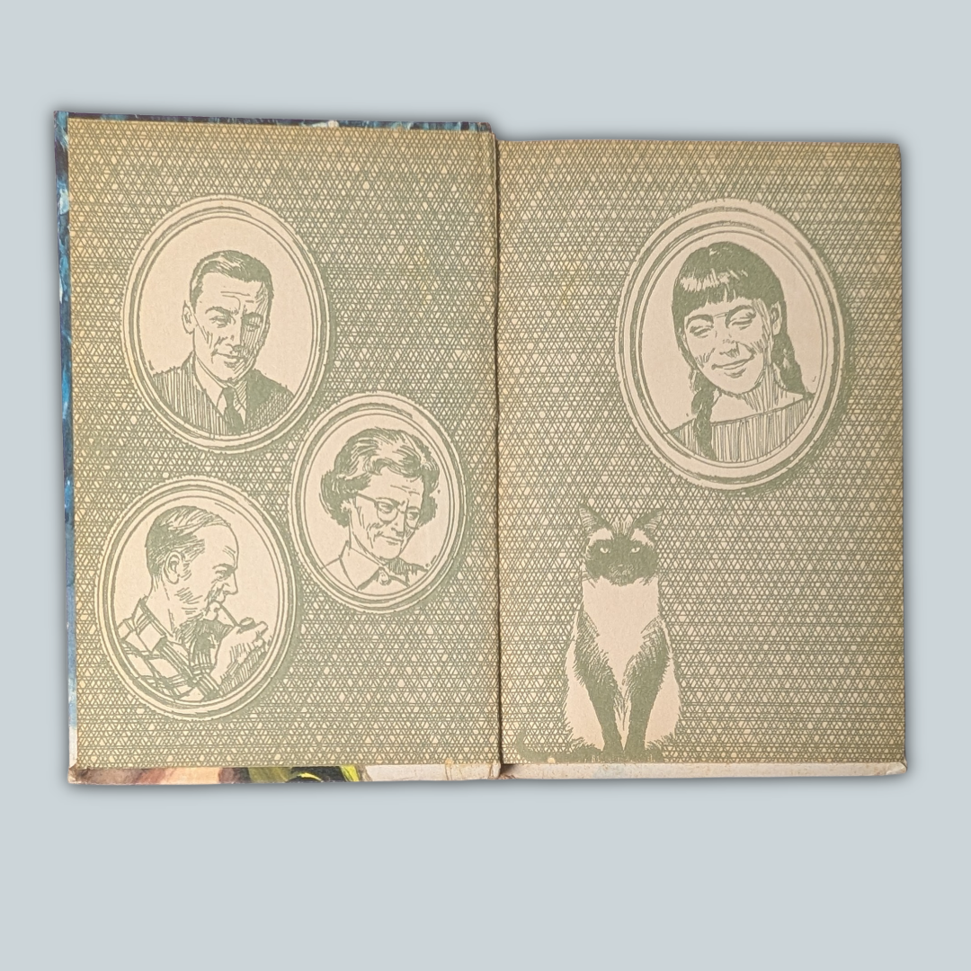 Meg and the Disappearing Diamonds Vintage Hardcover Book, 1969 ed.