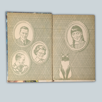 Meg and the Disappearing Diamonds Vintage Hardcover Book, 1969 ed.